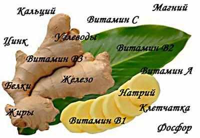 Химический состав имбиря