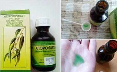 Препарат хлорофиллипт