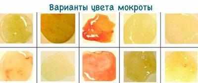 Цвет мокроты