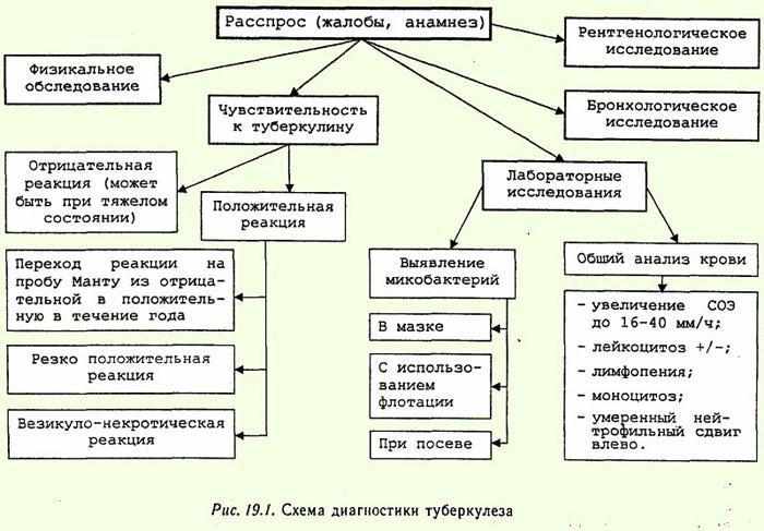 Диагностика туберкулёза