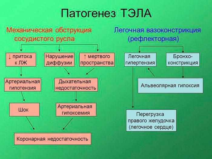 Патогенез ТЭЛА