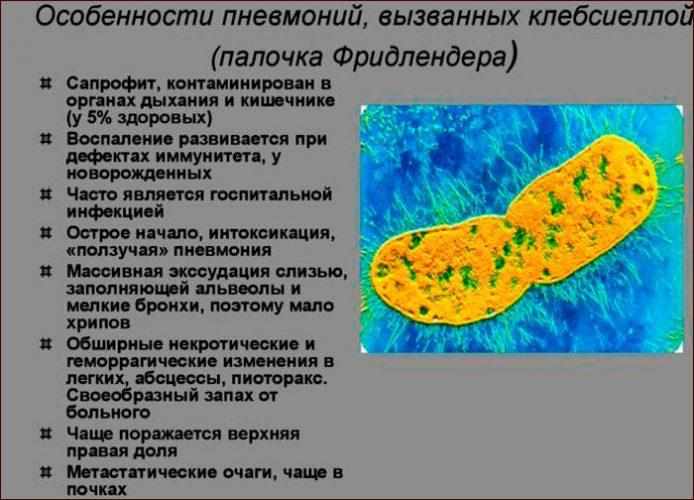 Пневмония, вызванная палочкой Фридлендера