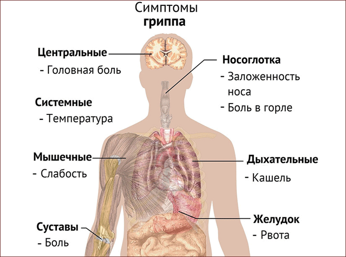 Симптомы гриппа
