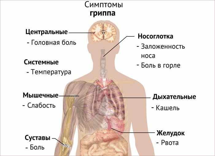 Симптомы гриппа