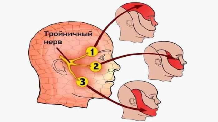 Тройничный нерв