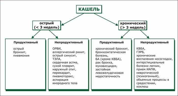 виды кашля