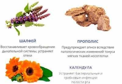 Компоненты препарата снорекс