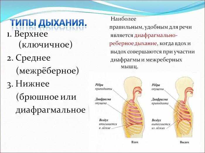 Типы дыхания