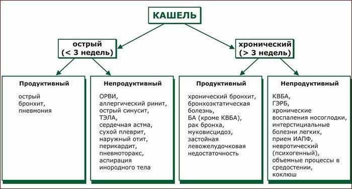 Виды кашля и болезни