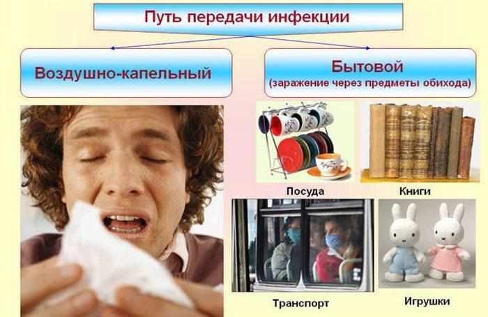 Способы передачи инфекции