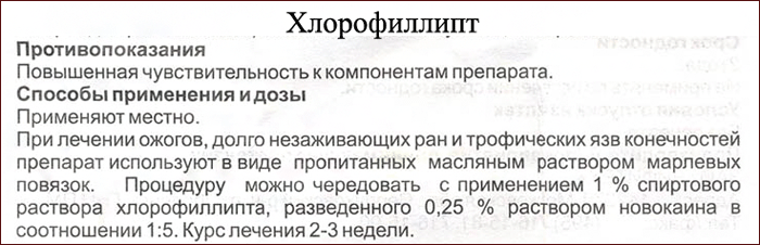 инструкция по применению лекарственного препарата Хлорофиллипт