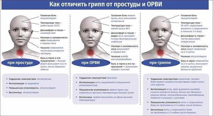 Как отличить грипп от простуды и ОРВИ