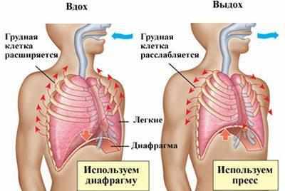 Дыхание при бронхите