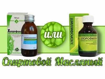 Хлорофиллипт