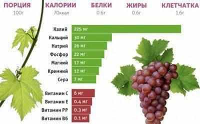 Состав винограда
