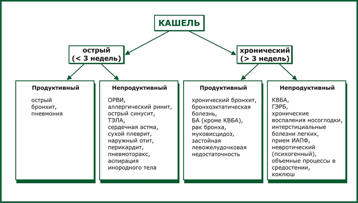 Виды кашля
