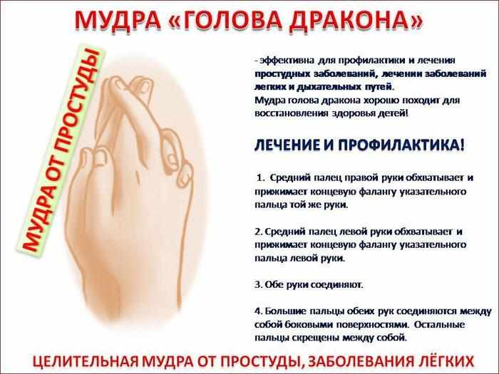 мудра голова дракона