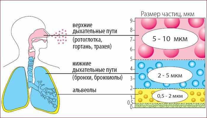 Преимущества ингаляций для лечения бронхов