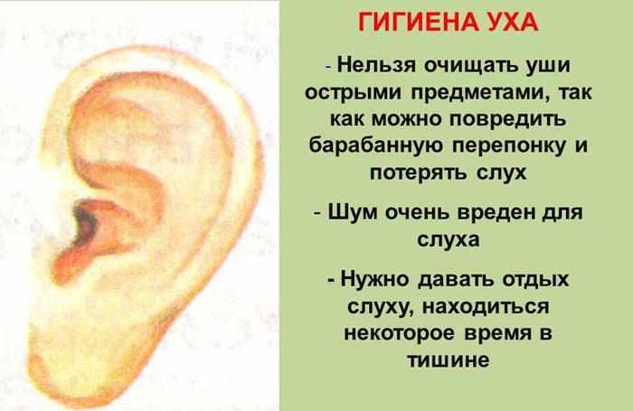 Гигиена уха