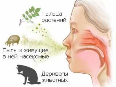 Аллергический насморк