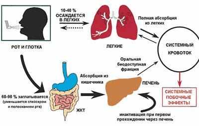 Действие преднизолона