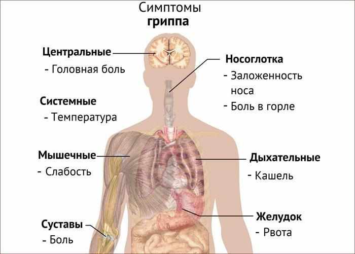 Симптомы гриппа.