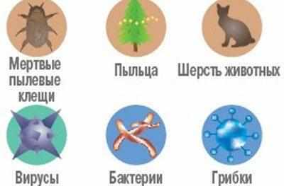 Типы аллергенов