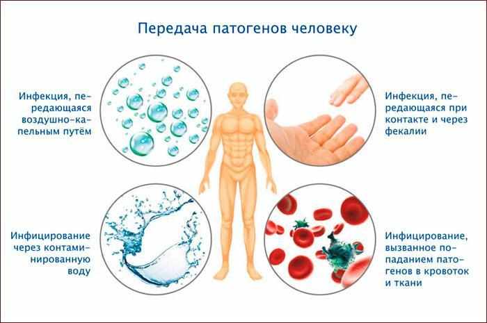 пути заражения туберкулезом