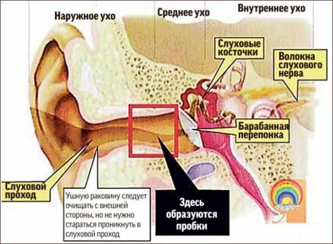 Место образования серной пробки