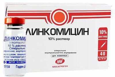 Препарат линкомицин