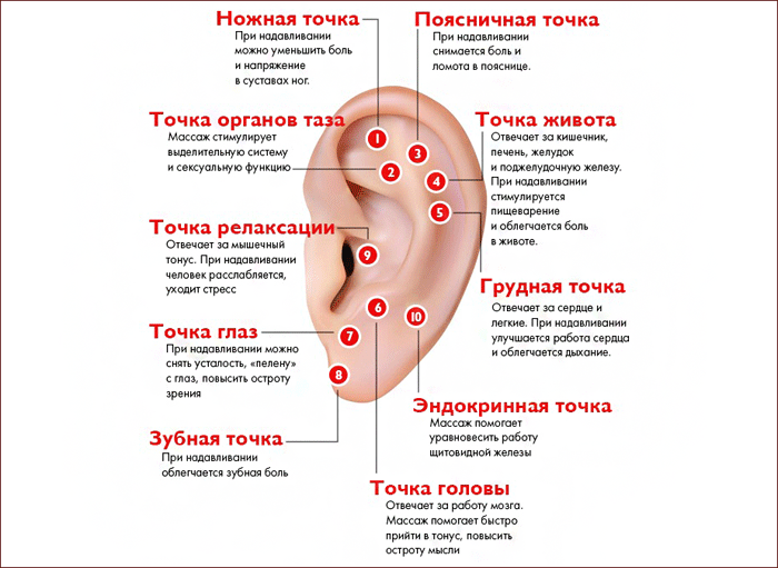 В каких местах не желательно прокалывать уши