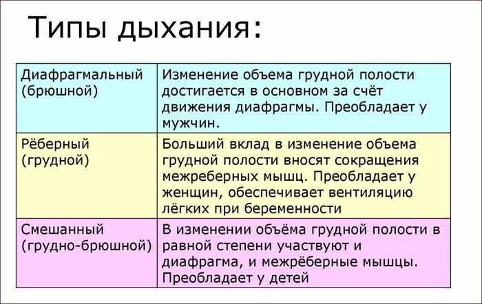 Виды дыхания