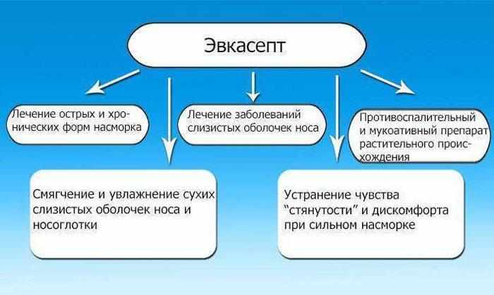 Применение капель эвкасепт
