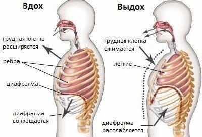 Огненное дыхание