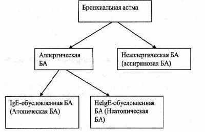 Виды астмы