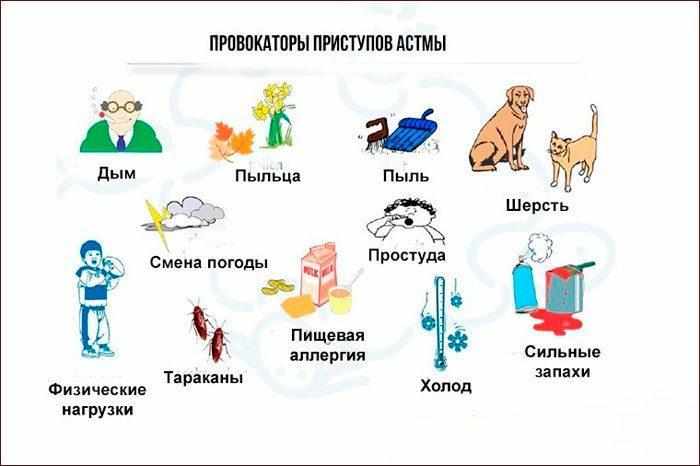 Признаки и провокаторы бронхиальной астмы