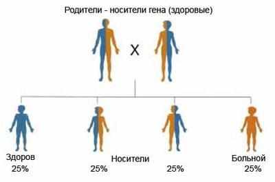 Генетика возникновения муковисцидоза