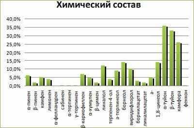 Химический состав шалфея