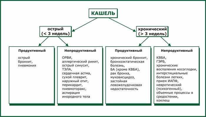 Виды кашля