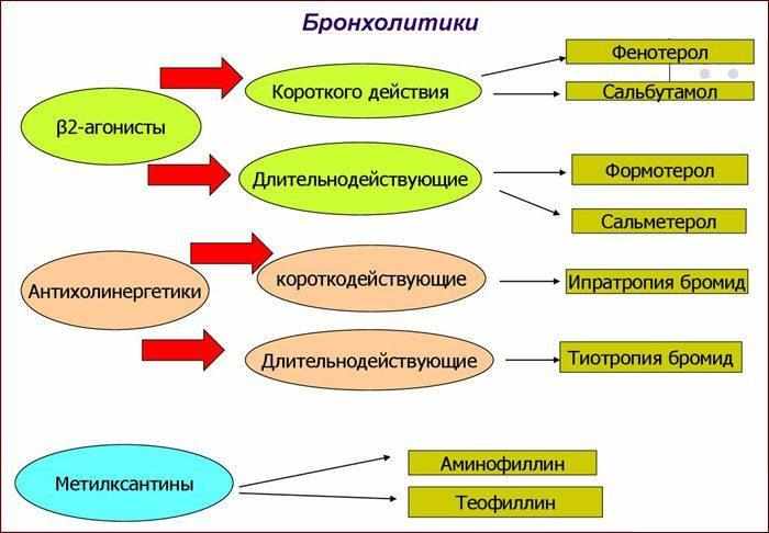 Препараты бронхолитики