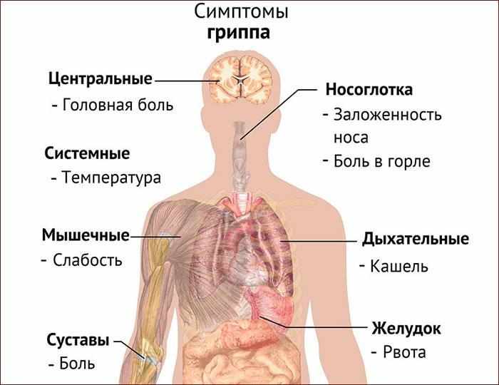 симптомы гриппа