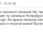 Отзыв о грибке