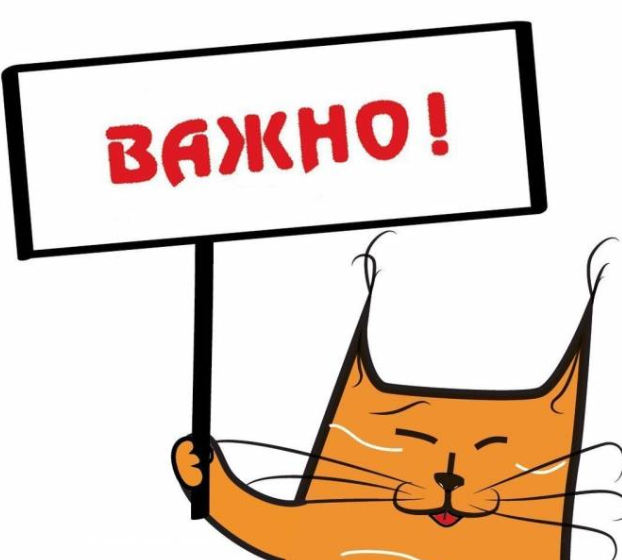 Белка с плакатом Важно
