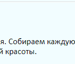 Отзыв о мать-и-мачехе