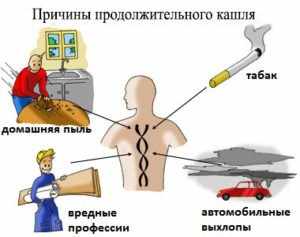 Что делать если сухой кашель у взрослого не проходит 2 недели?