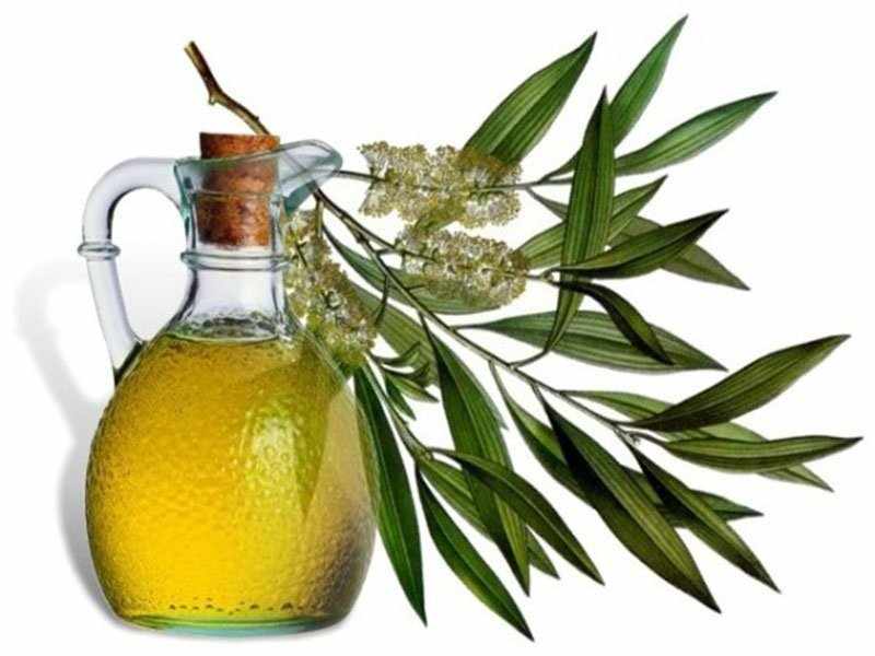 эвкалиптовое масло