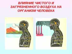 Как можно вылечить туберкулез?