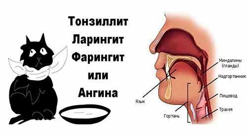 боль в горле у ребенка
