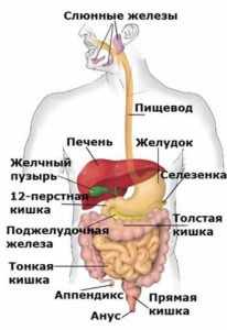 Какие заболевания провоцируют жжение в горле?
