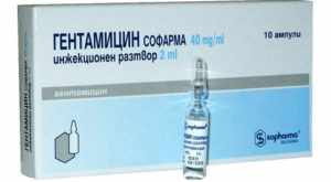 Клебсиелла пневмония: что это такое?